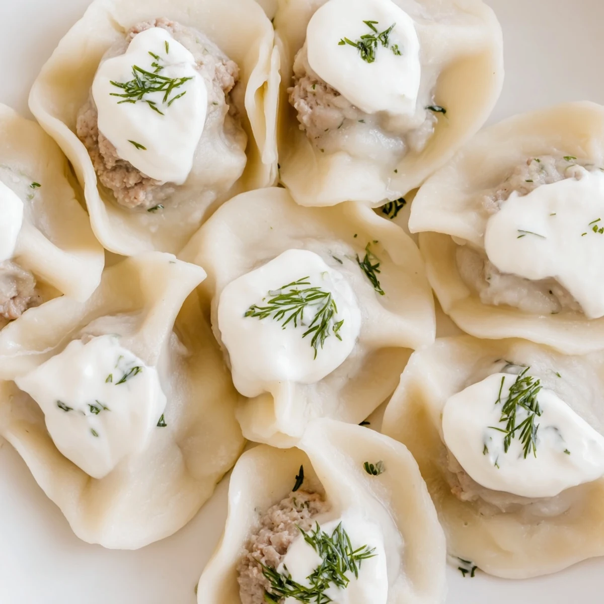 Golden-brown, freshly boiled Russian Pelmeni, a comforting main dish ready to serve, with a dill garnish.